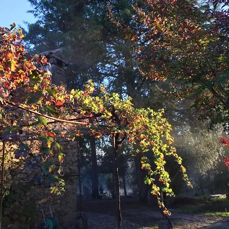 Quinta Do Vale Coelheiro Alojamento de Turismo Selvagem *