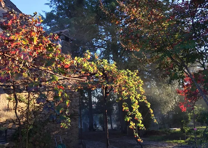 Quinta Do Vale Coelheiro Hytte *