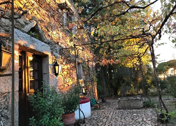 Quinta Do Vale Coelheiro *